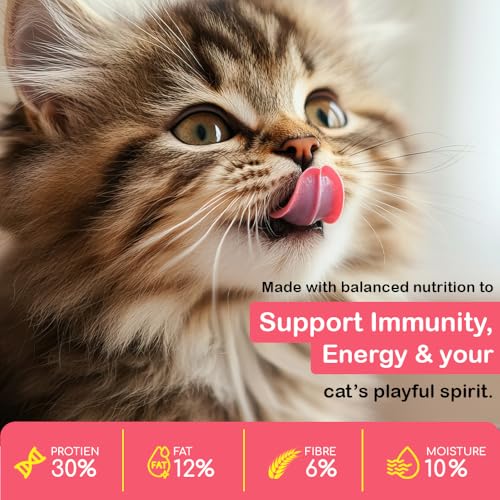 Image of M&K Kitten Cat Food - Tasty & Magic Flavour | Complete & Balanced Dry Food for Growing Kittens | Supports Healthy Growth, Strong Bones & Immunity | High Protein Nutrition | Crunchy Kibble | 2.4 Kg