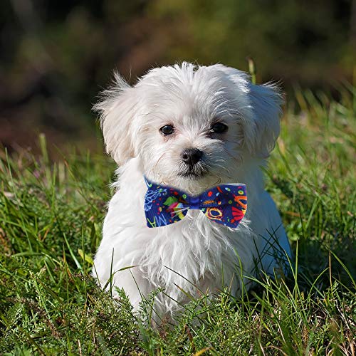 TEHAUX 10 peças decorativas para animais de estimação gravata borboleta para animais de estimação co