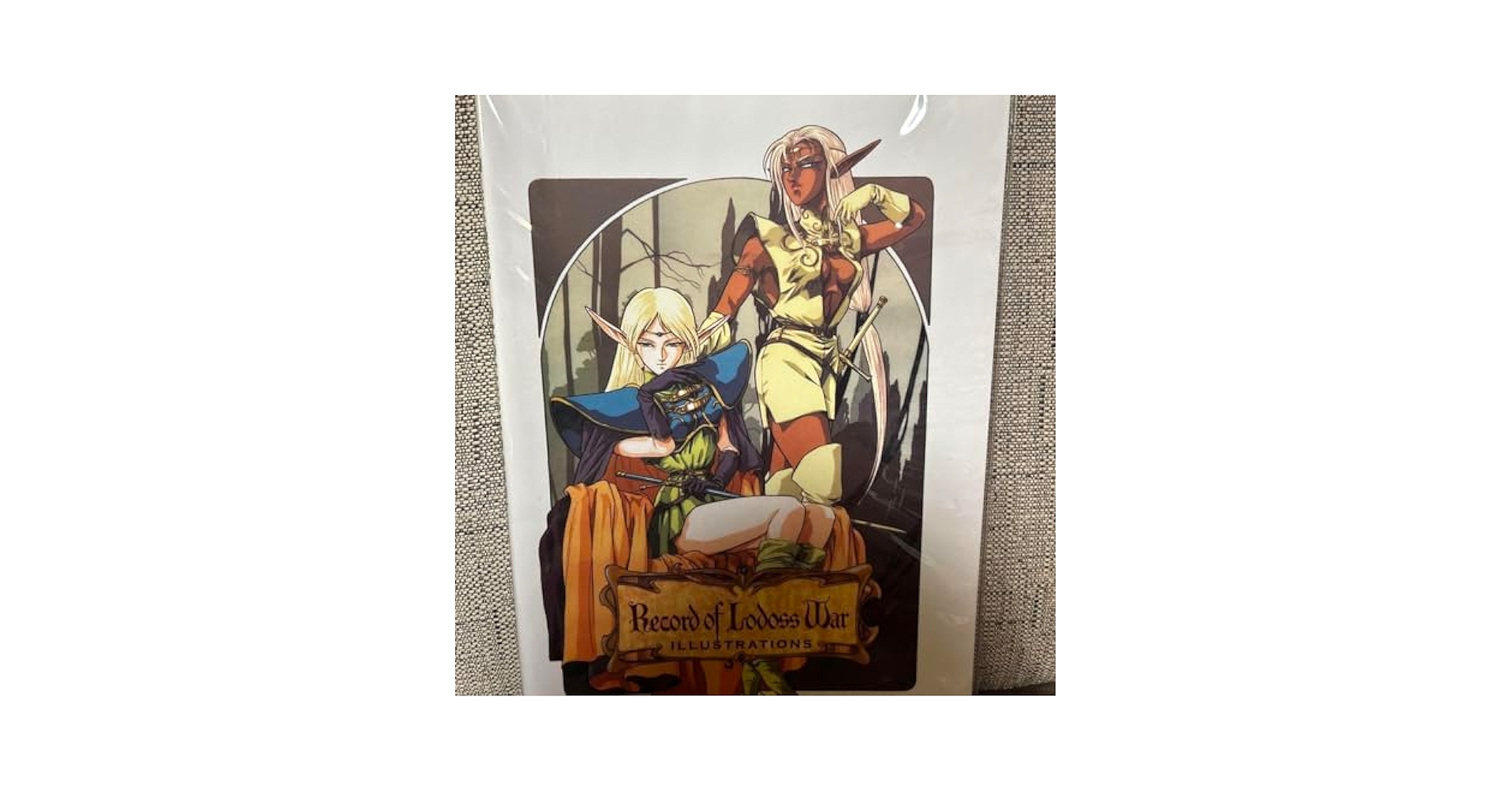 ロードス島戦記　lllustrations RecordofLodossWar ロードス島戦記 lllustrations RecordofLodossWar