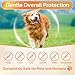 Puyrzoe 5-in-1 Dog Flea and Tick Treatment Chewable, Natural Flea and Tick Prevention for Dogs Chewable - Flea & Tick | Hip & Joint | Skin & Coat | Immunity Support | Digestive for All Breeds & Sizes