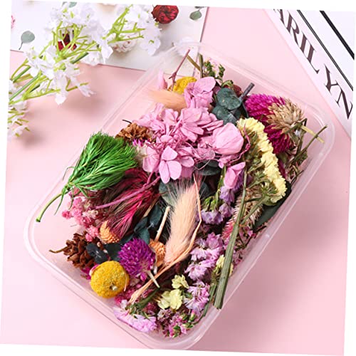 Materiales de flores secas prensadas para manualidades DIY miniatura 5