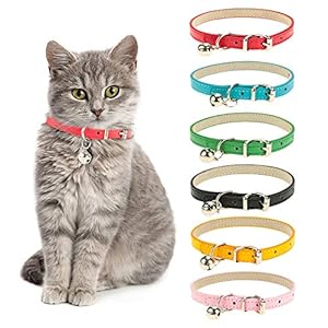 Yorgewd 6 Pack Leather Cat Collars with Removable Bell Polished Durable Metal Buckle Soft and Adjustable for Cats Puppy Small Medium Dogs