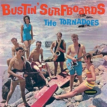 Vinyl Bustin' Surfboards Book