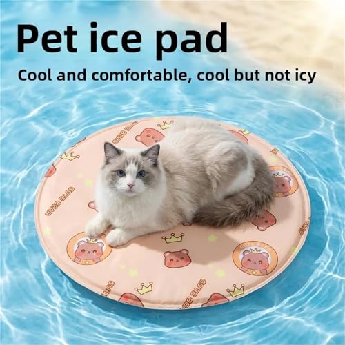 Coussin de glace à injection d'eau pour chat et chien | Tapis 60cm