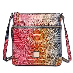 Colorful Rose + Blue