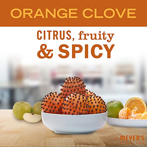 Image of MRS. MEYER'S CLEAN DAY Liquid Dish Soap, Limitd Edition Orange Clove, 16 fl. Oz