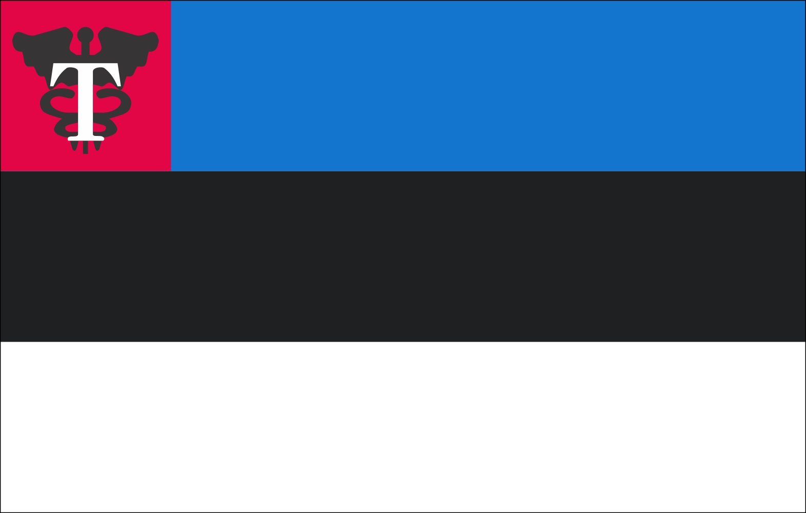 magFlags Duża flaga estońskie zwyczaje 1999-2004 | Flaga krajobrazowa | 1,35 m² | 14,5 m2 | 90 x 150 cm | 90 x 150 cm - 100% wyprodukowano w Niemczech - trwała flaga zewnętrzna