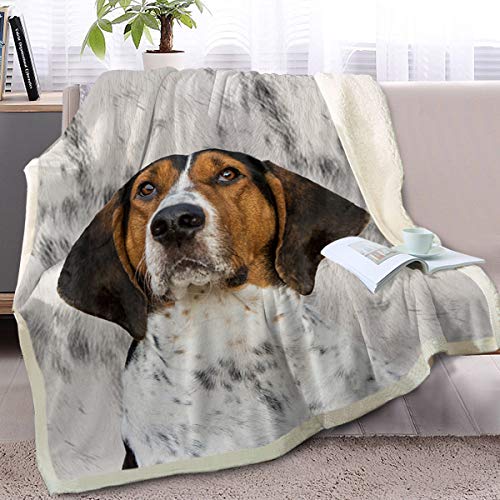 BlessLiving-Cute-Dog-Throw-Blanket-Sherpa-Fleece-Blanket-3D-Animal-Print-Reversible-Blankets-for-Bed-and-Couch-CoonhoundTwin-60-x-80-Inches - Cucciolini Doodles   BlessLiving-Cute-Dog-Throw-Blanket-Sherpa-Fleece-Blanket-3D-Animal-Print-Reversible-Blankets-for-Bed-and-Couch-CoonhoundTwin-60-x-80-Inches