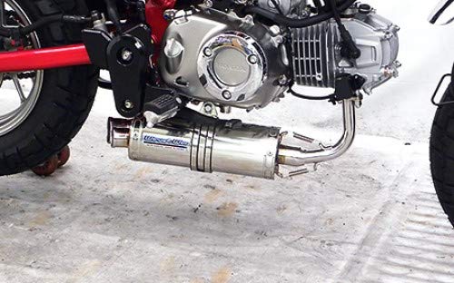 Amazon | WirusWin(ウイルズウィン) フルエキゾースト ツインテール