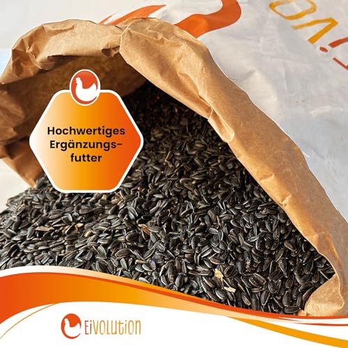 Eivolution Bio-Sonnenblumenkerne 800g - Probiergröße – Ideal für Meisenknödel & Futterspender – Hühner- & Wildvogelfutter – Natürlich, Energiereich, Gentechnikfrei, Winterfutter