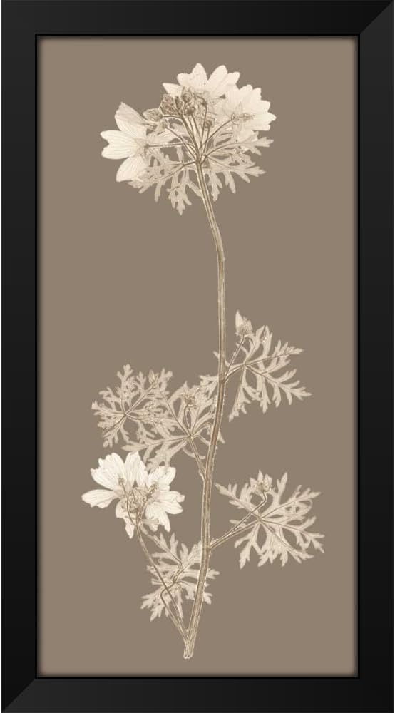 ArtDirect - Vision Studio 11x18 Black Modern Framed Art Print Titled: Taupe Nature Study II (47_87204GG)