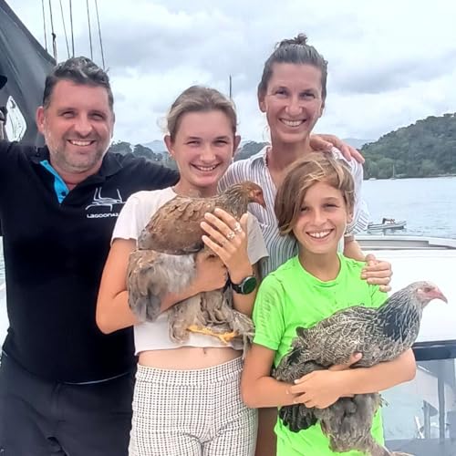 E104 - Eine Schweizer Familie kauft eine Insel - Folge 2