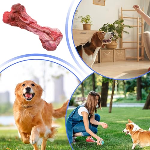 Jeu en caoutchouc pour chien pour stimuler l'entraînement intérieur les jours de pluie - 5