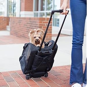 Snoozer-Roll-Around-4-in-1-Pet-Carrier-Black-Medium - Cucciolini Doodles Snoozer-Roll-Around-4-in-1-Pet-Carrier-Black-Medium