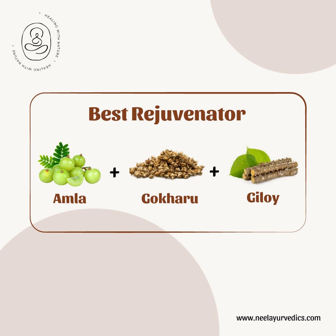Giloy Pulver | Tinospora cordifolia | Galo Pulver | Guduchi Pulver -300 GM