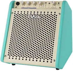 VEDO Amplificador para Baixo Elétrico DK 25W com Caixa de Som Portátil, Gravação OTG Interna, Efeito de Reverberação Integrado, Equalizador de 3 Bandas, Entrada 6.35mm, Monitoramento (Verde(1 peça))