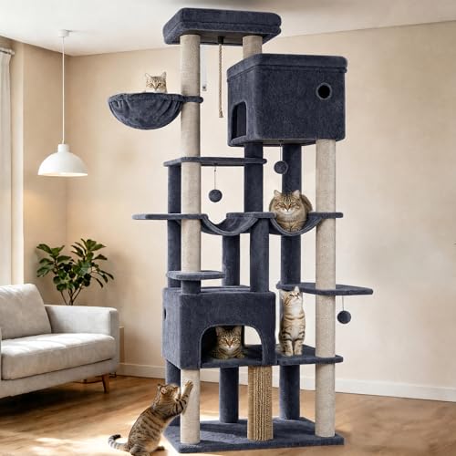 Hzuaneri Arbre à Chat