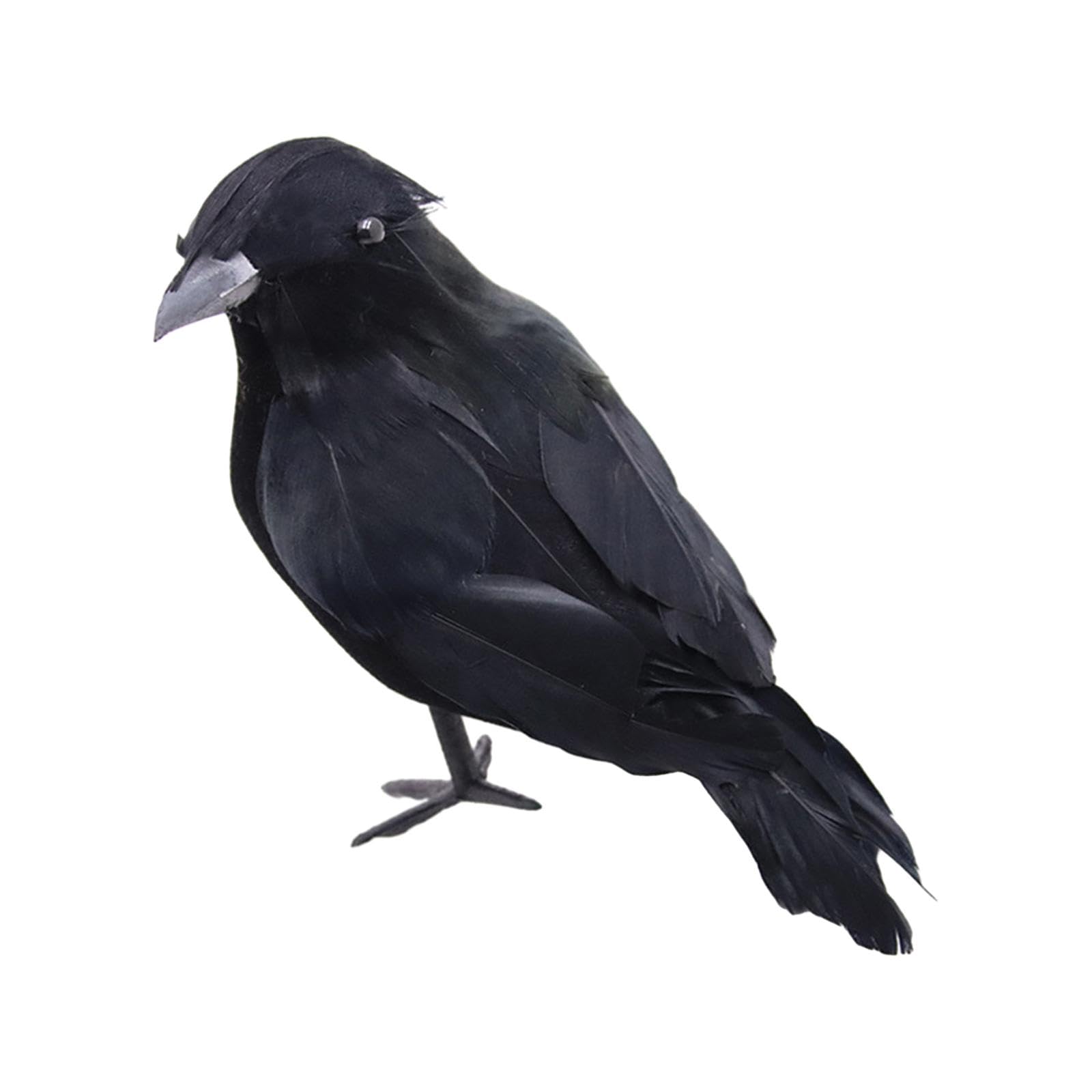 CLUB BOLLYWOOD® Crows Realistic Black ed Crows for Fancy Costumes Yard Lawn Style B|Home & Garden | Greeting Cards & Party Supply | Party Decorations|Optional Package-image-37