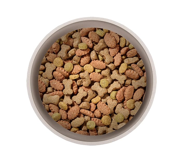 Primox Hunde-Trockenfutter 15kg | hergestellt in DE | Nährstoffreich | Ohne Zucker & andere Zusätze | Für Vitalität & Gesundheit beim Hund (Rind & Gemüse)