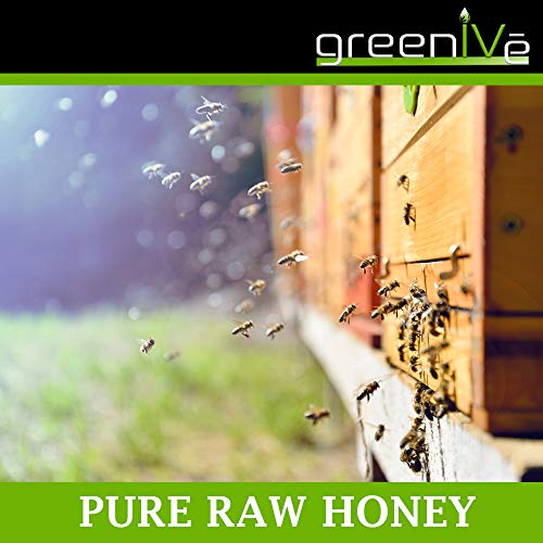 1,000mg CO2 Extracted Hemp Honey Grade A Raw American Honey 12 Ounce Bear (12oz 1,000mg)