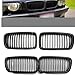 Matte/Glossy Front Hood Kidney Grille Bumper Single Slat Grill Compatible For BMW 7 Series E38 4 Door Sedan 1996-2001 Front Grills(Glossy Black)