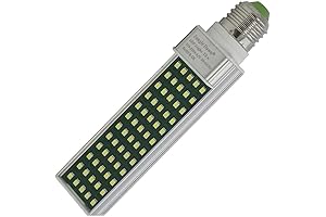 Jungle Dawn: The Ultimate Energy Source for a Thriving Terrarium