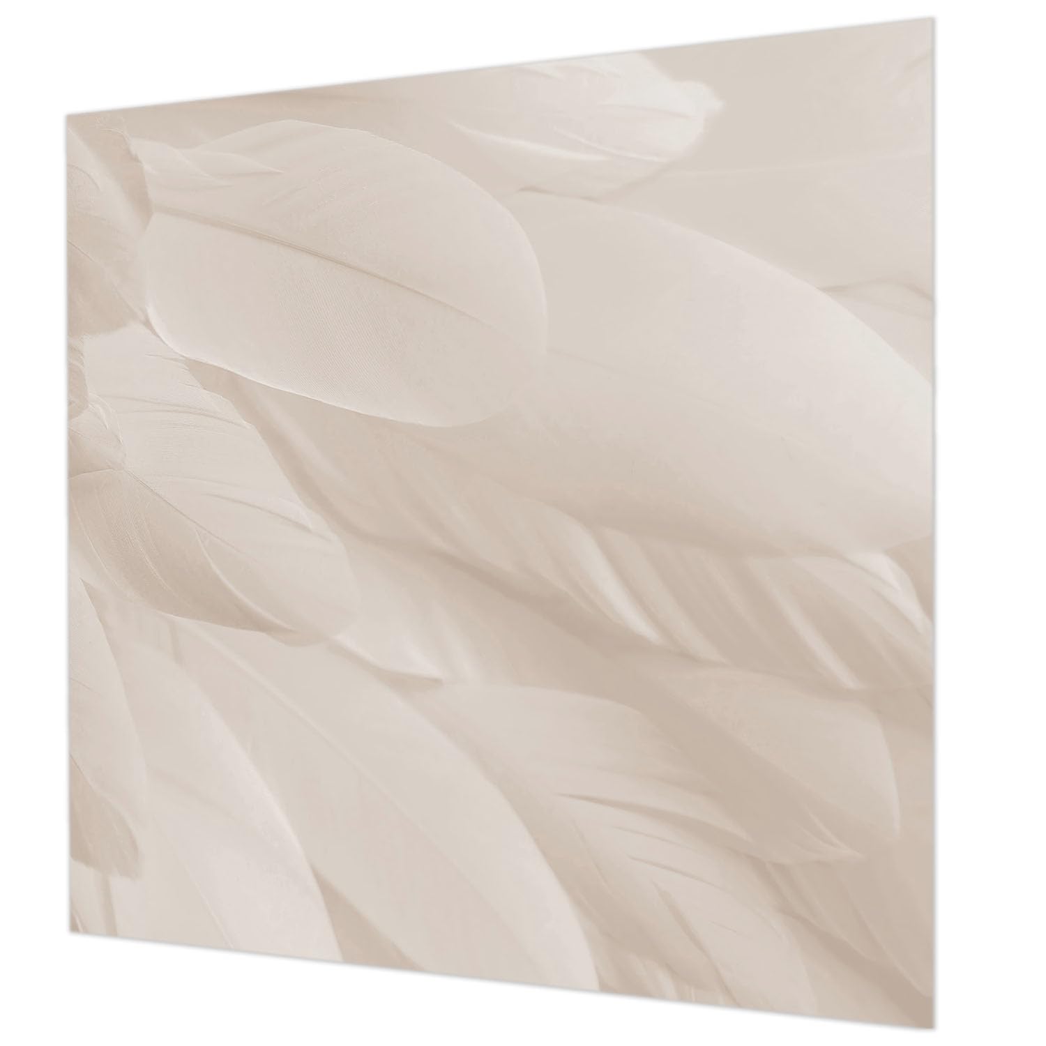 Papier Peint Intissé Pose Murale Facile Plumes éthérées 250x250cm