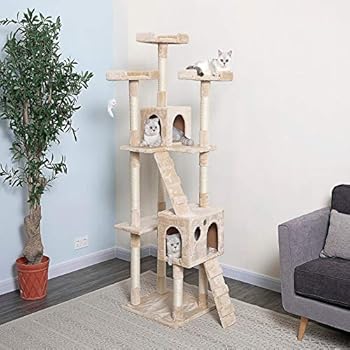 Best cat tree