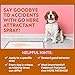 OUT! PetCare Go Here Attractant Dog and Puppy Potty Training Spray, Safe & Effective Puppy Pee Spray, Dog Housebreaking Supplies, Indoor and Outdoor House Training Tool, 32 oz