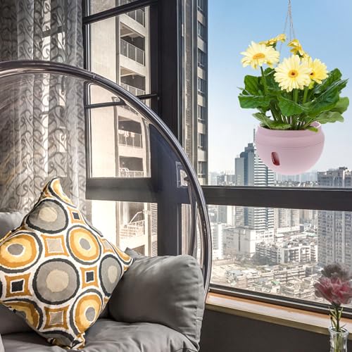 Pot de fleurs suspendu pour optimiser l'espace des orchidées en intérieur