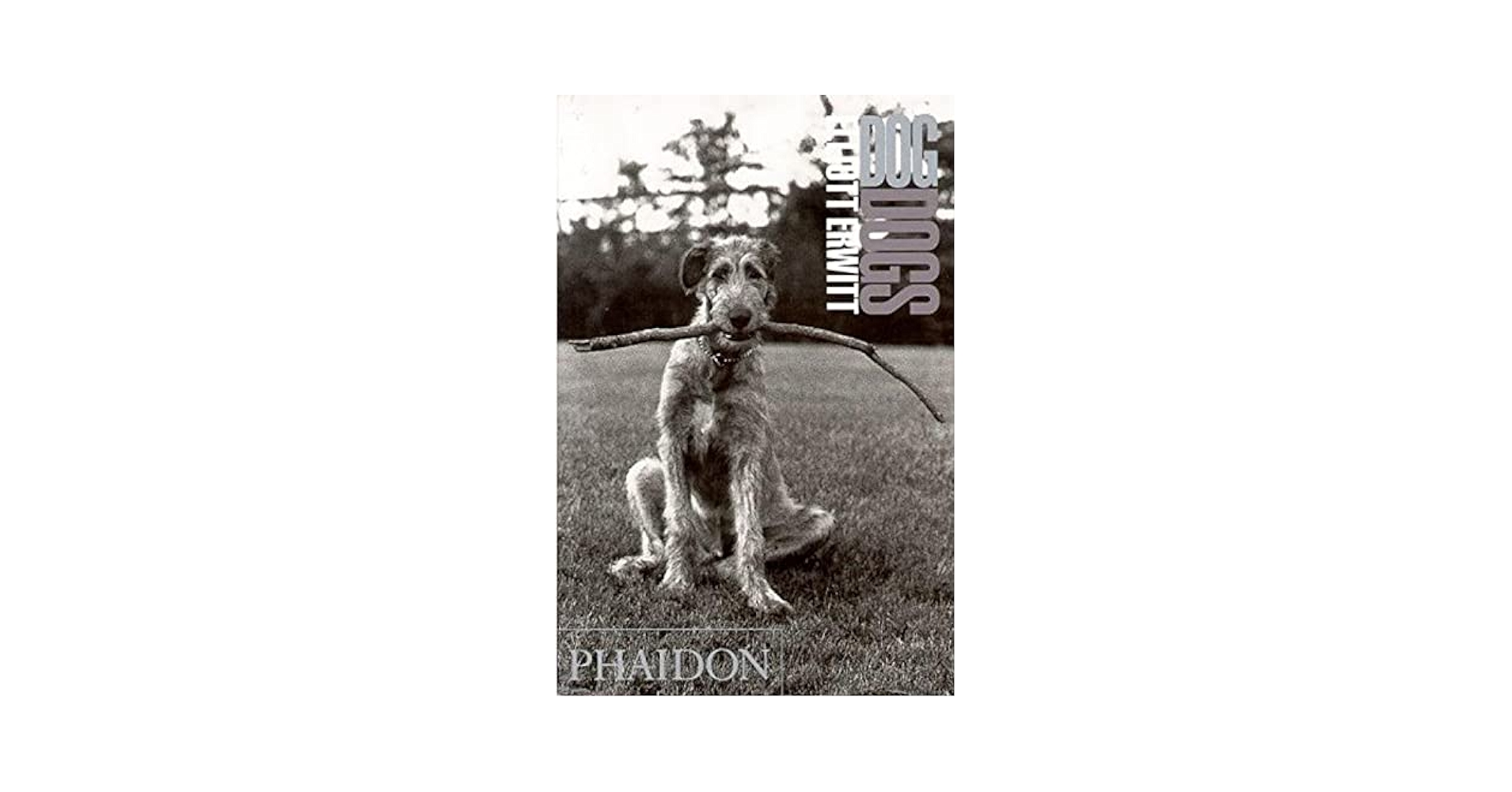 アート・デザイン・音楽 Elliott Erwitt To The Dogs Elliott Erwitt: To the Dogs by Elliott Erwitt (1992-10-04
