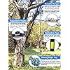 Tree Hanging Dog Toy