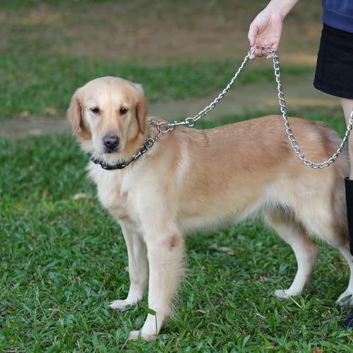 PETTOM Hundeleine Stark Metall Kettenleine, Übungsleine mit PU Leder und Gepolstertem Nylon-Griff, Trainingsleine Für Kleine Mittlere und Große Hunde (L: 0.4cm*180cm) Silber