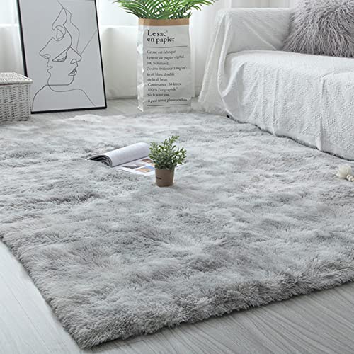 pacegre Teppich Wohnzimmer Weich Schlafzimmer Modern Flauschig 120x160CM...