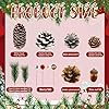 Warmtree 170 Pcs Christmas Pine Cones Berry Pine Branch Set Snow Pinecones Pendant Winter Decor with Artificial Acorn Berries for DIY Crafts Home Decorations Gift Tag Party Supplies, Assorted Sizes #1