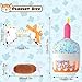 AYSYR 3 Stück Hundekuchen Geburtstag Spielzeug Set,Welpenspielzeug Quietschendes Plüschtier,Welpen Zubehör Geburtstagsknochen,Dog Toys Geburtstagsparty-Zubehör,Hunde Spielzeug Kauspielzeug