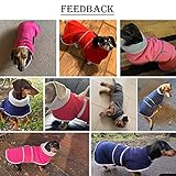 MOREZI Winterhundejacke mit wattiertem Flusenfutter, verstellbarem Klettknopf und hochklappbarem Stehkragen. Sehr gut geeignet für Dackel und kleine und mittelgroße Jagdhunde-Grau-M