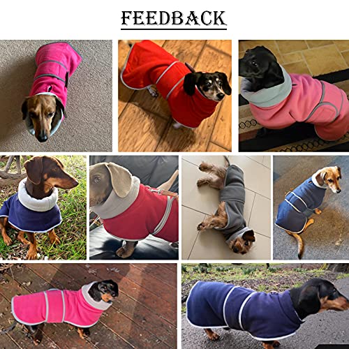 Dachshund Coats Sausage Dog Fleece Coat In Winter Miniature Dachshund Clothes With Hook And Loop Closure And High Vis Reflective Trim Safety - Navy - S #TOP1