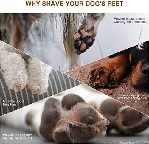 POPETPOP Dog Clippers - Low Noise Cordless Electric Pet Hair Trimmer, USB Rechargeable 2-Speed Dog Grooming Clippers Kit for Small Dogs and Cats Hair Around Face, Paws, Eyes, Ears, Rump
