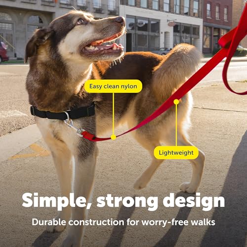 Image of PetSafe Nylon Dog Leash Strong, Durable, Traditional Style Lead with Easy to Use Bolt Snap for Small, Medium and Large Dogs 3 /4 inch x 6', Red