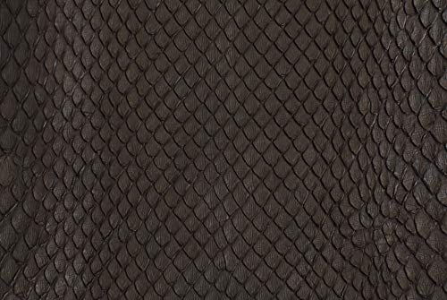 Anaconda Skin Glazed Brown (Full Skin Grade 2)