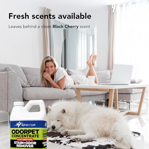 Image of OdorPet Pet Stain Remover and Odor Eliminator - 64 Oz (Makes 2.55 Gallons of Working Solution) Non Staining, Professional Strength, Black Cherry Scent by Alpha Tech Pet