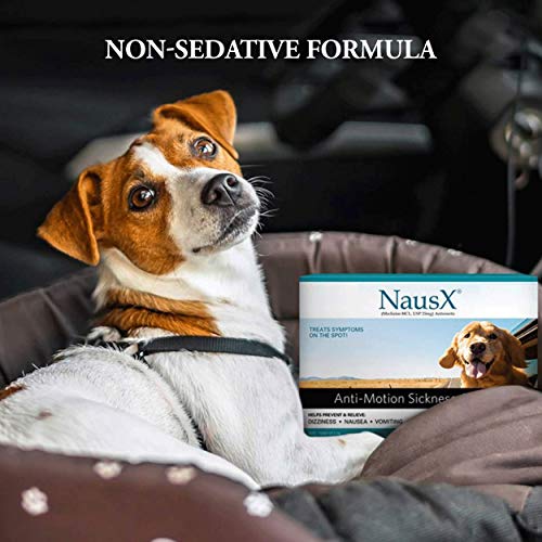 Nausx Anti-Bewegungskrankheit und Übelkeit Linderung für kleine Hunderassen, Linderung bei Disorientierung und Schwindel, 10 Tabletten