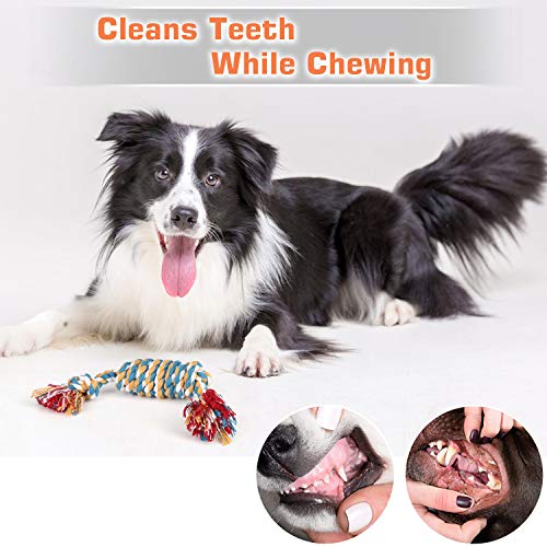 Zutesu Dog Chew Toy for Puppy Teething, 12 Pack Indestructible Dog Toys for Puppy Chewers, Interactive Tug of War Rope… - Image 6
