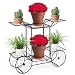 Sorbus Garden Cart Stand & Flower Pot Plant Holder Display Rack, 6 Tiers, Parisian Style - Perfect for Home, Garden, Patio (Black)