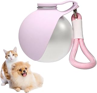 Bouteille d'eau Portable pour Animaux de Compagnie, Gourde de 285ML Compacte pour Chiens et Chats, Gamelle Étanche avec Bol Pliable en Silicone pour Les Promenades et Randonnées en Extérieur