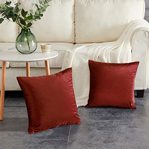 Image of GIGIZAZA Decorative Couch Throw Pillow Cover,Set of 2 Sofa 18x18 Burnt Orange Throw Pillows,Square Farmhouse Velvet Throw Cushions