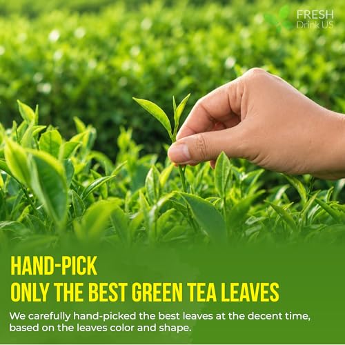 Image of FreshDrinkUS, Premium 175 Green Tea Bags, 100% Natural & Pure from Green Tea Leaves. Loose Leaf Green Tea Herbal Tea. Made with Natural Material Tea Bags. No Sugar, No Gluten, Vegan.