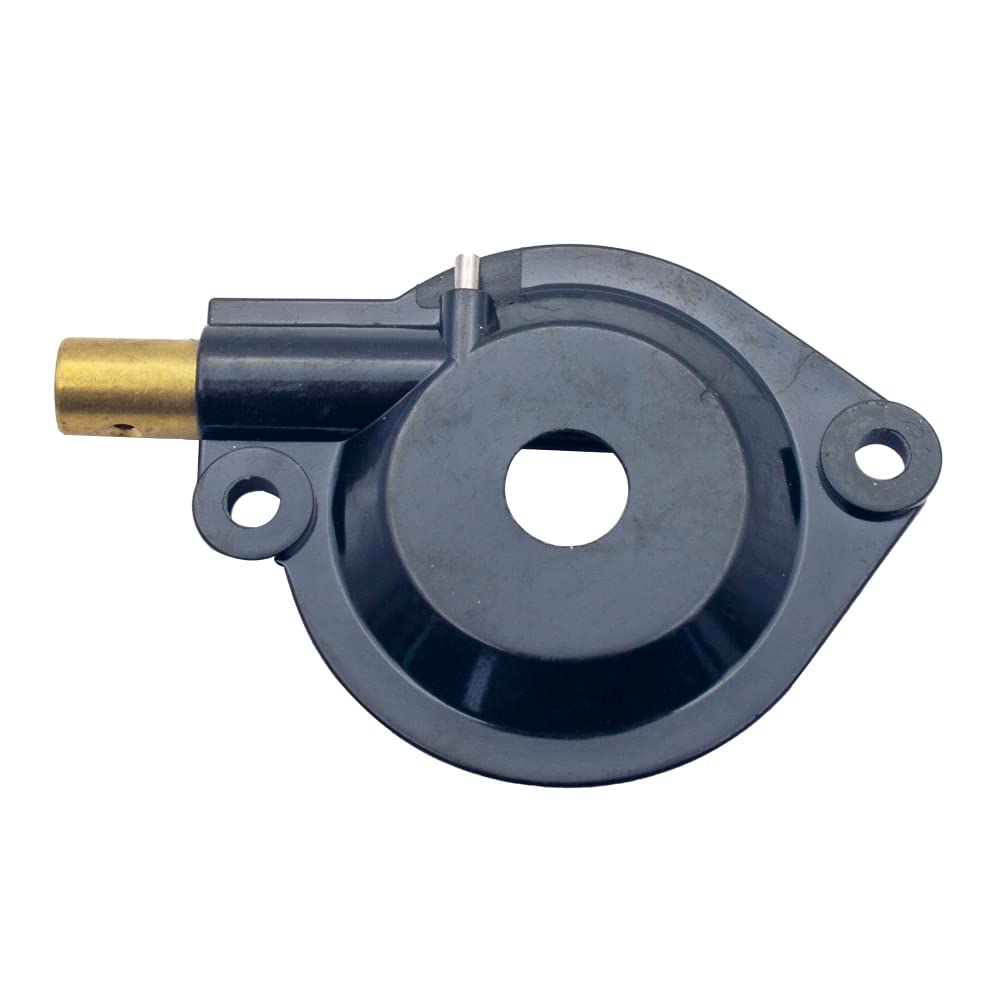 Amazon.com: Realman 581063901 Oil Pump With Plunger Gear For