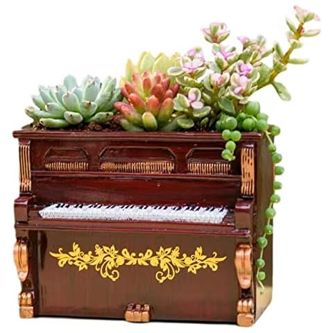 Indoor Outdoor Flower Pot Planters Cute Green Plants Flower Pot Small Flower Pots with Drain Hole for Small Green Plants in Home and Office (Plants Not Included) Cover